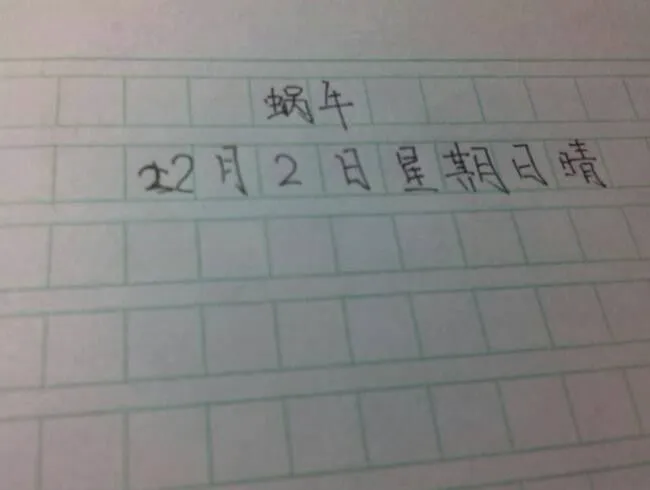 如何通过数据分析优化篮板训练效果?_2